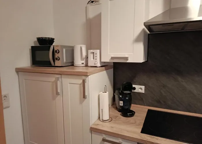 Haus An Der Steinbachtalsperre דירה *